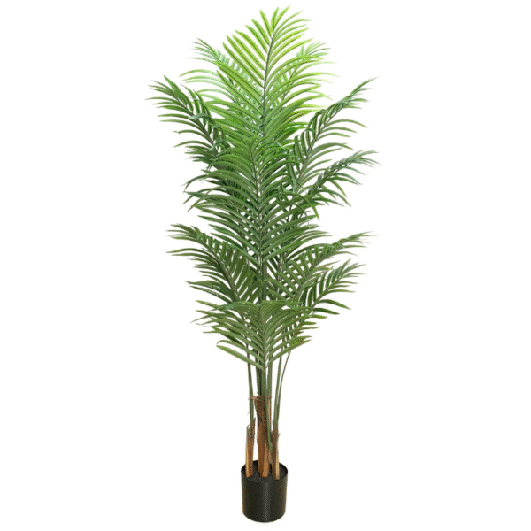 עץ דקל מלאכותי 1.50 ס''מ ללא כד
