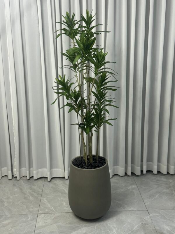 ⁦עציץ מלאכותי דרקונית 1.70 ס"מ כד לוסיאן⁩ – תמונה ⁦3⁩