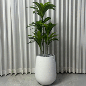 עץ דרצנה מלאכותי 1.50 ס"מ כד לוסיאן