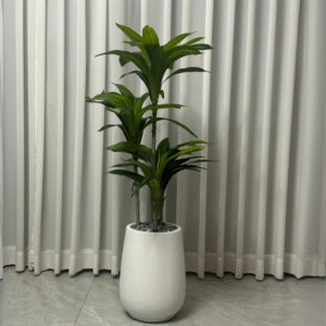 עץ דרצנה מלאכותי 1.30 ס"מ כד לוסיאן