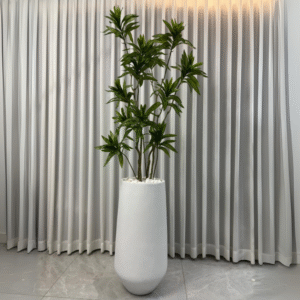 עציץ דרקונית 2 מטר כד מעוצב קליאן