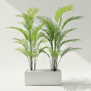 אדנית+דקל 1.80