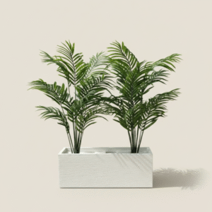 אדנית+דקל 1.25