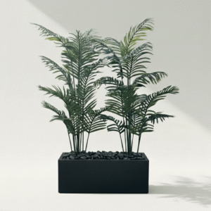 אדנית+2 עצי דקל 1.65