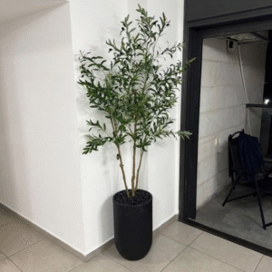 עץ זית 3 גזעים מלאכותי 2.20 מטר כד מילאן